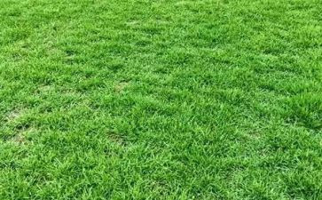 草原详教案最新5篇