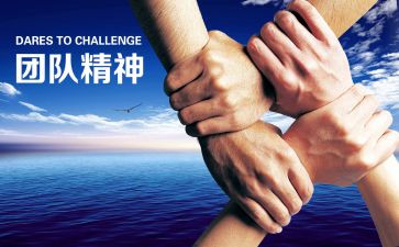 策划部活动总结6篇