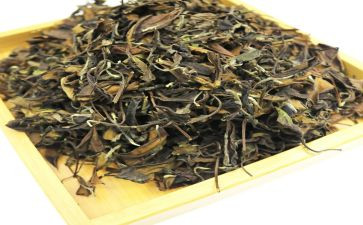 茶的文化作文5篇