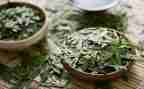 关于茶的教案精选8篇