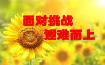 我在尝试中成长作文600字5篇