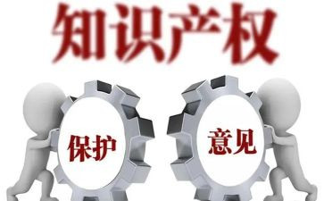 保护知识产权的演讲稿5篇