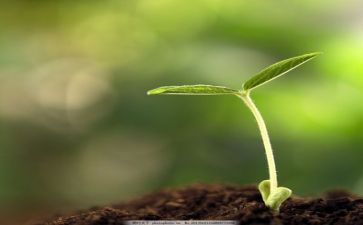 成长培训心得体会最新5篇