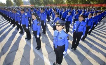 2024城管年度总结优质8篇