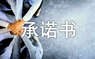 投标单位承诺书6篇