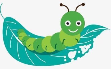 幼儿园小班美术毛毛虫教案7篇