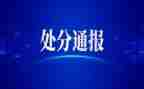 党员干部被处分后思想汇报7篇