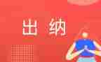 出纳的总结报告模板5篇