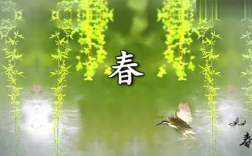 青春有我演讲稿600字8篇