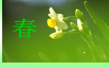 2023年春季期工作计划精选8篇