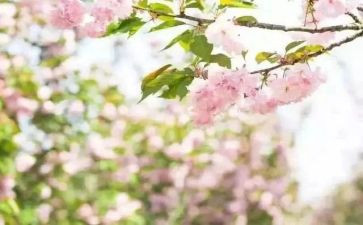 青春期心得体会6篇
