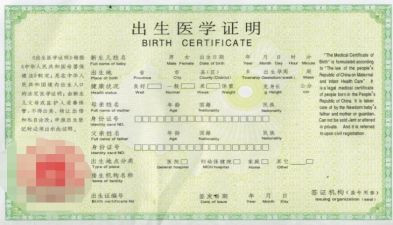 补办出生证明的申请书5篇