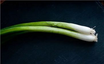 中班葱教案最新6篇