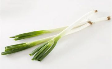 关于葱的科学教案通用6篇