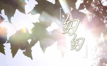 读后感《匆匆》作文6篇