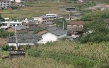 2024年农村村委工作计划5篇