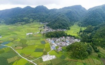 村党支部年度工作总结报告8篇