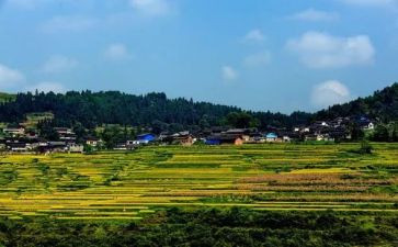 村教师节讲话稿模板6篇