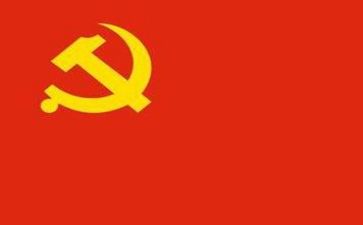 党支述职报告汇编范文7篇