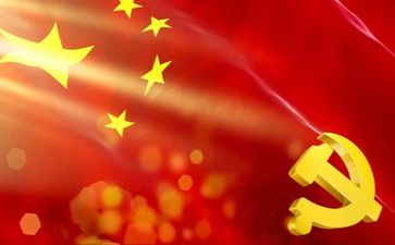 2023年党工作总结精选5篇