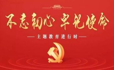 2023党日活动心得体会通用6篇