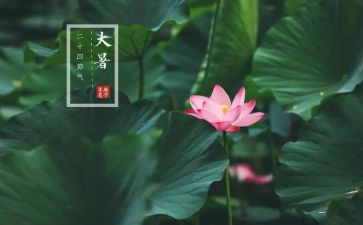 大暑教案5篇