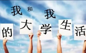 军训心得体会大一800字7篇