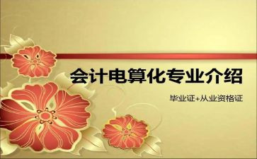 电算化会计心得6篇