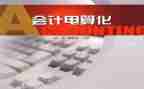 会计电算化心得总结6篇