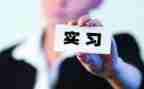毕业顶岗实习工作总结8篇