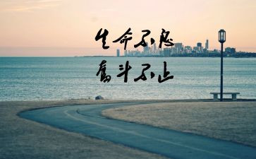 突然就懂了作文5篇