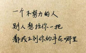 我懂了,作文优秀7篇