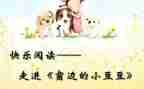 分豆豆教案反思6篇