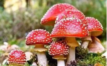 禁毒防艾讲话稿6篇