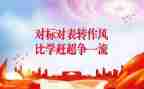 财务对标总结报告精选5篇