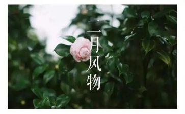 小班十二月份工作总结6篇