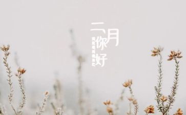幼儿园小班二月工作总结7篇