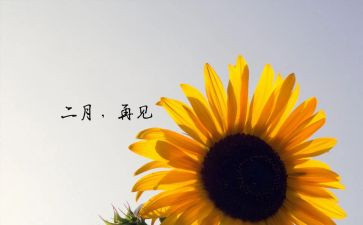 二月销售工作总结7篇