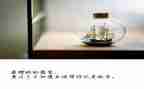 清明节放假讲话稿6篇