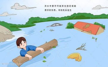 局防汛工作总结模板8篇