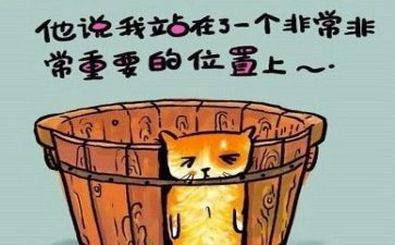 工作总结加反思6篇