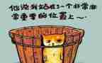 工作总结加反思6篇