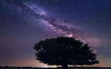 繁星读后感600字作文6篇