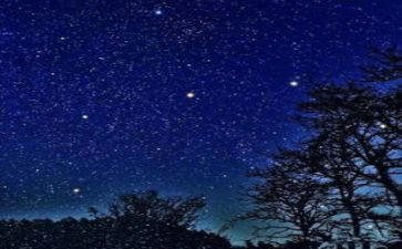 繁星.春水心得体会模板8篇