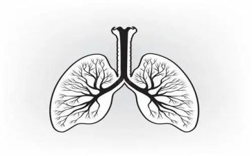 肺实验心得体会优秀6篇