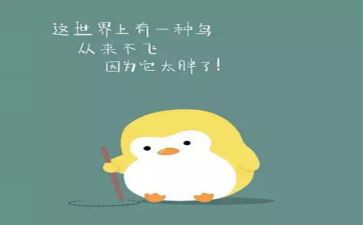 减肥记教案5篇