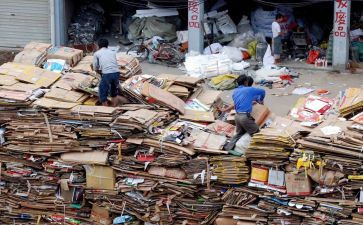 捡废品的作文通用6篇