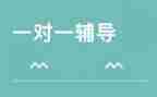当辅导老师心得体会7篇