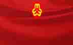 2023年镇妇联工作总结通用5篇