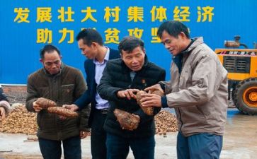 市2023年扶贫工作总结模板8篇